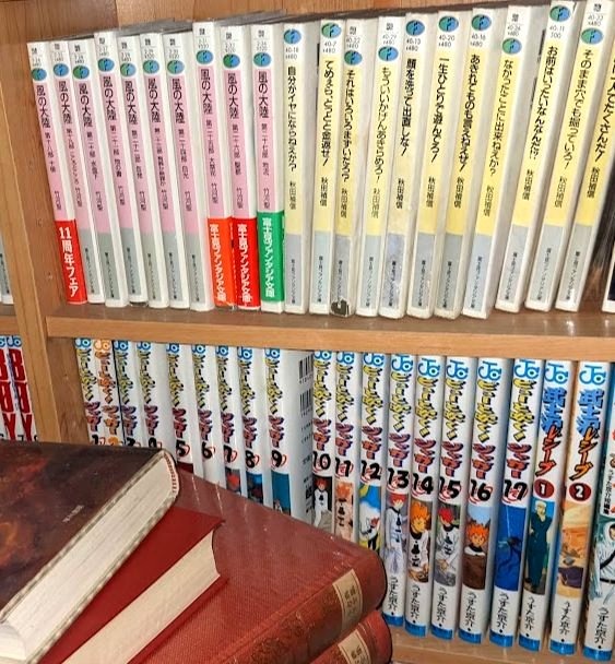 Japanese Manga and Anime Bookshelf Collection